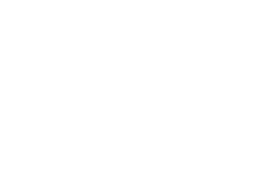 RENESSENCE RENEGADE 